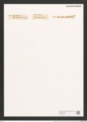 Cymatopleura elliptica (Breb.) W. Sm. (de-Toni-Nr.: Genus 54, Species 2410) Zeichnungen Sammlung Grunow (NHMW-BOT-W0373035)